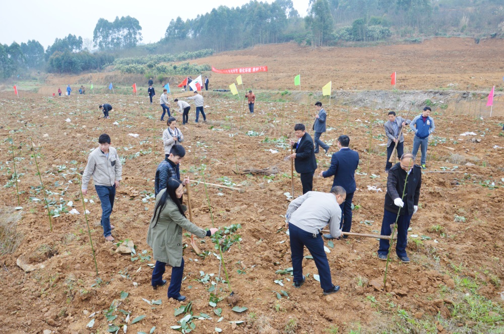 2016年3月中明環(huán)保集團(tuán)開展植樹活動(dòng)